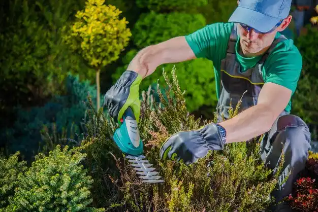 landscaping services Valentine